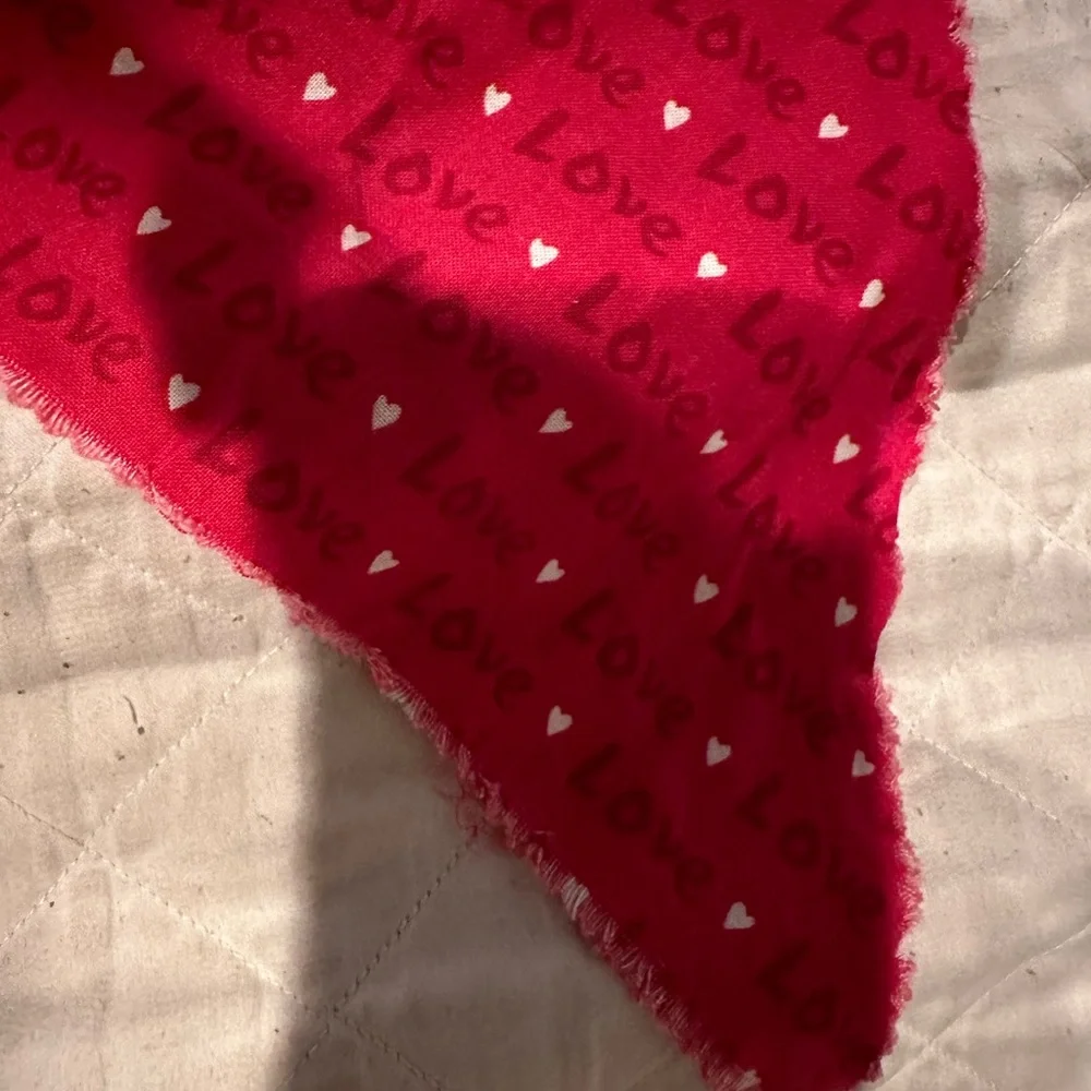 Dog/Pet Love- Valentine’s Day bandana- like new!